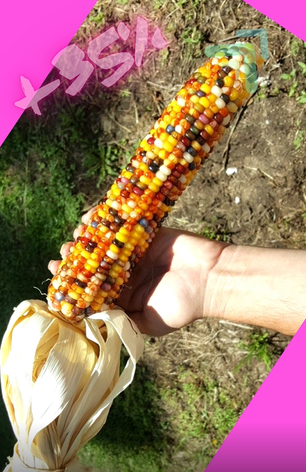 ¡Siente el poder en ti mismo!🚀